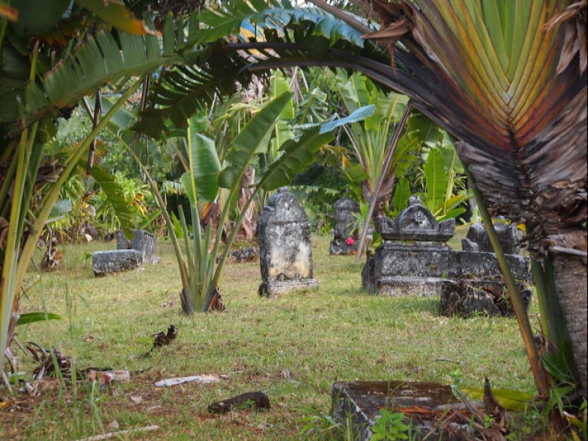 I'll be damned! This is the only surviving pirate graveyard