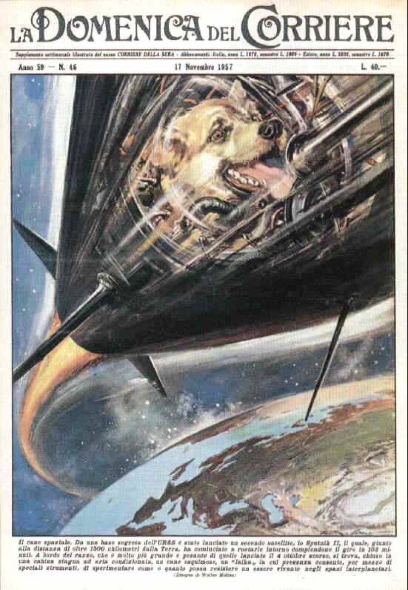 Illustrations by the master of stress and disaster Walter Molino