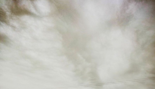 I’m A 13-Year-Old Beginner Photographer Without A Camera, And Here Are 11 Photos I Took Over The Last 6 Months