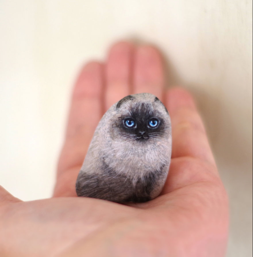 I'm not a cat, don't stroke me — the artist reveals the unique characters of the stones