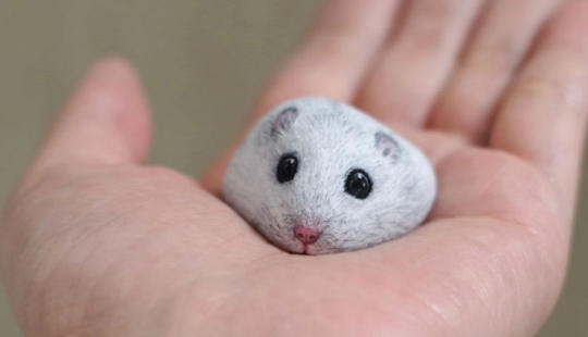 I'm not a cat, don't stroke me — the artist reveals the unique characters of the stones I'm not a cat, don't stroke me — the artist reveals the unique characters of the stones