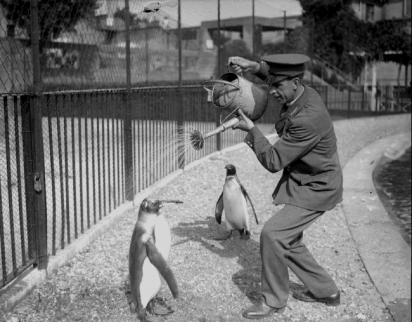 Imágenes históricas increíblemente raras que nunca olvidaremos