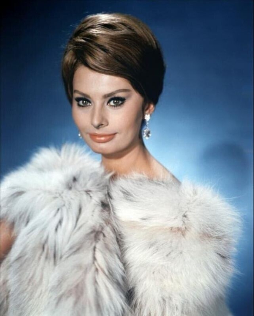 Impresionante Sophia Loren durante el rodaje de la película " Millionaire»