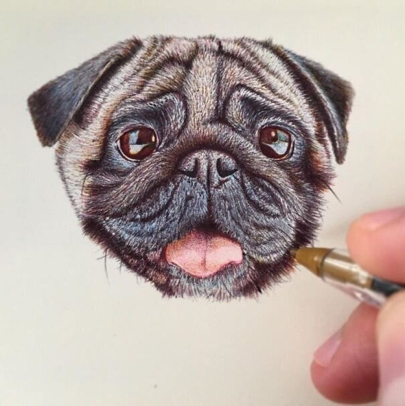 Impresionantes dibujos en bolígrafo de Samuel Silva