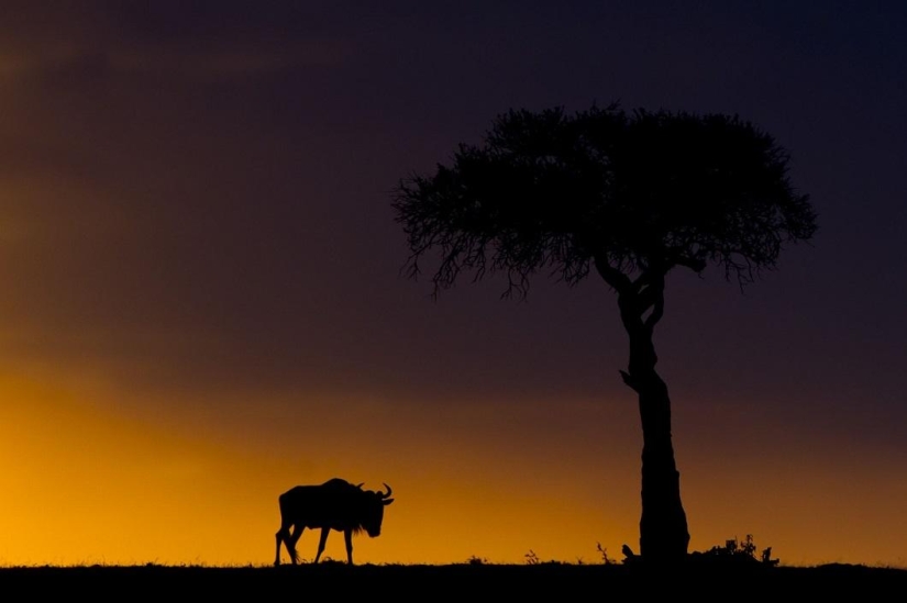 Impresionantes puestas de sol Africanas por Paul Goldstein