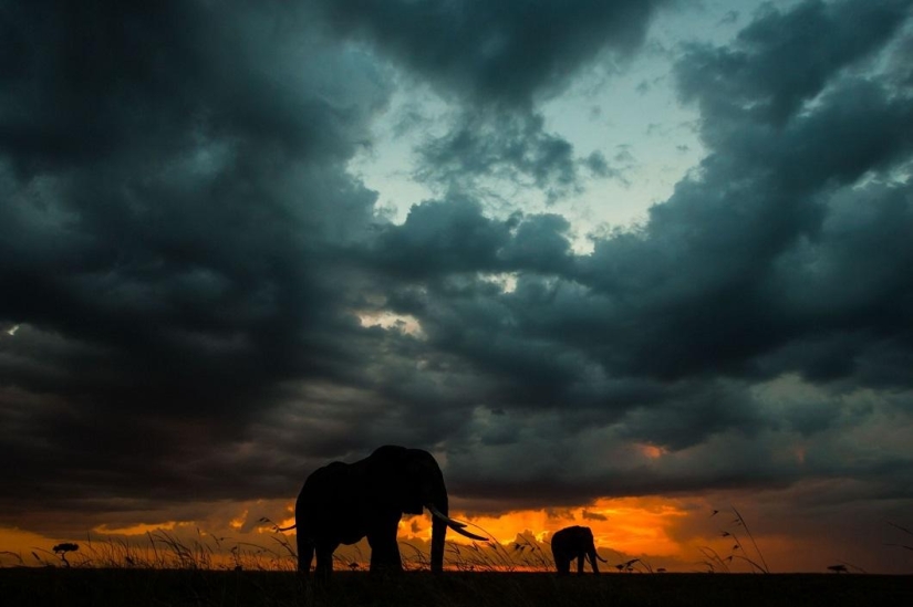 Impresionantes puestas de sol Africanas por Paul Goldstein