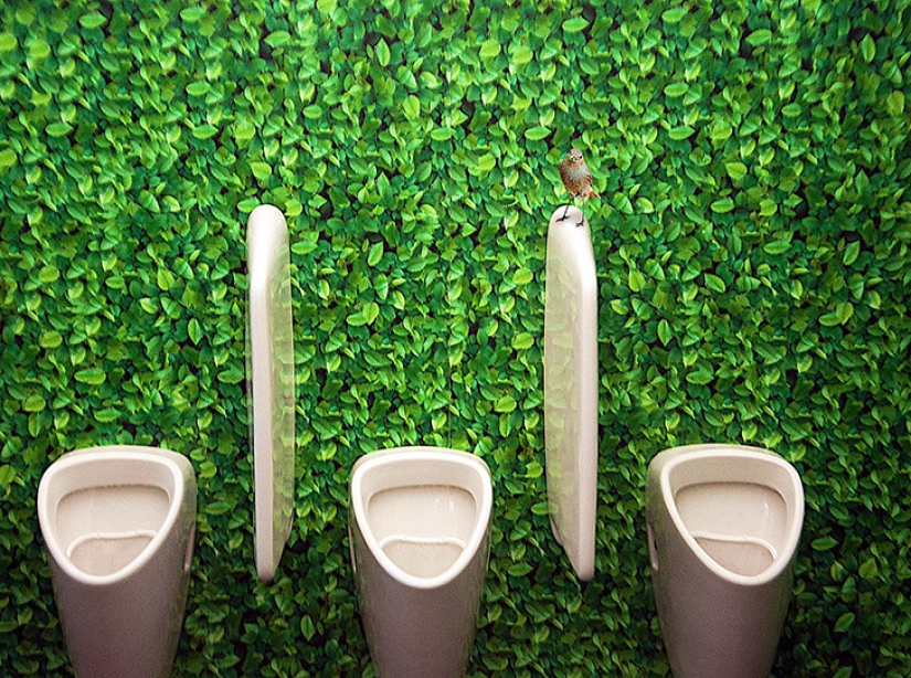 In need, but not in offense: 20 most unusual public toilets