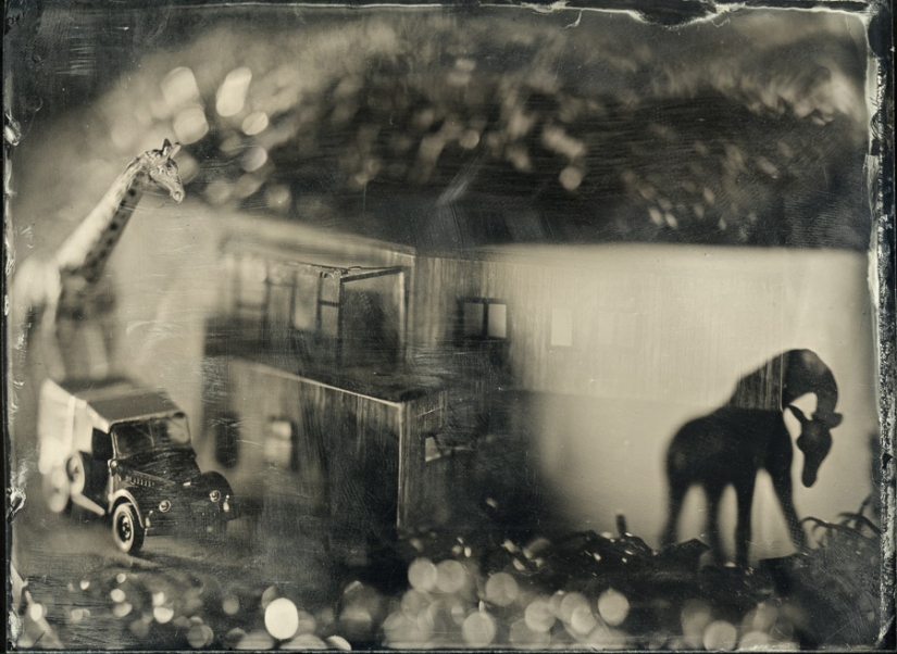 In the fairy world ambrotypes