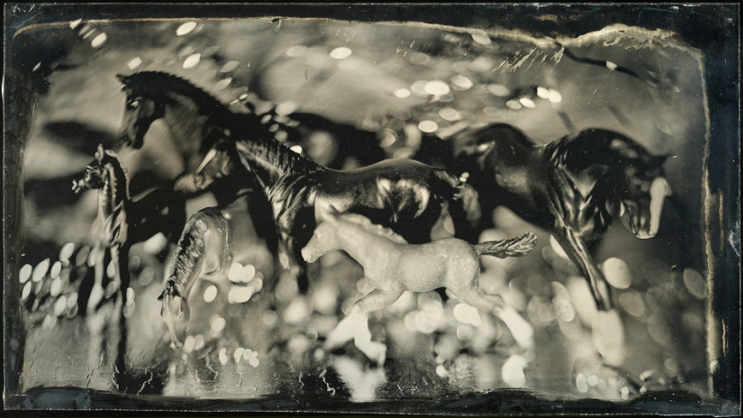 In the fairy world ambrotypes