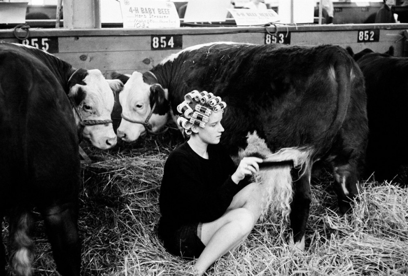 In the frame of the iconic photographer Dennis Stock