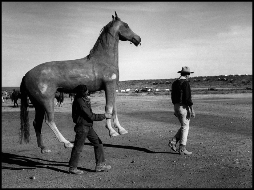 In the frame of the iconic photographer Dennis Stock