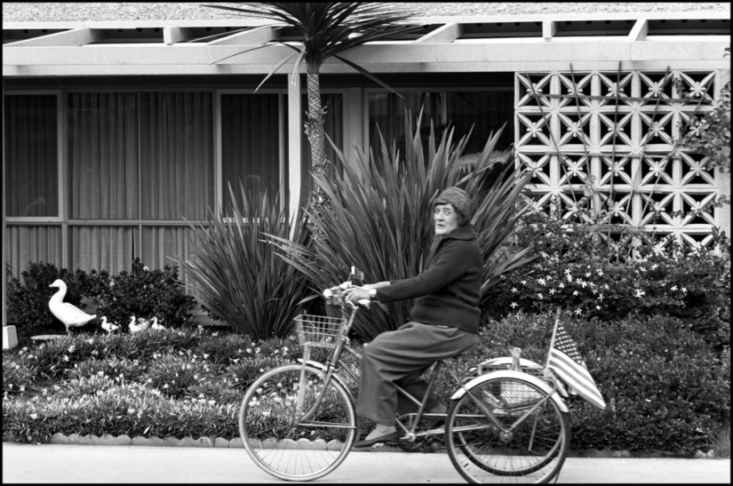 In the frame of the iconic photographer Dennis Stock