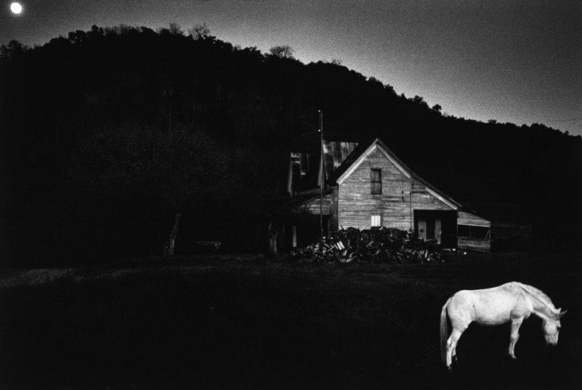 In the frame of the iconic photographer Dennis Stock