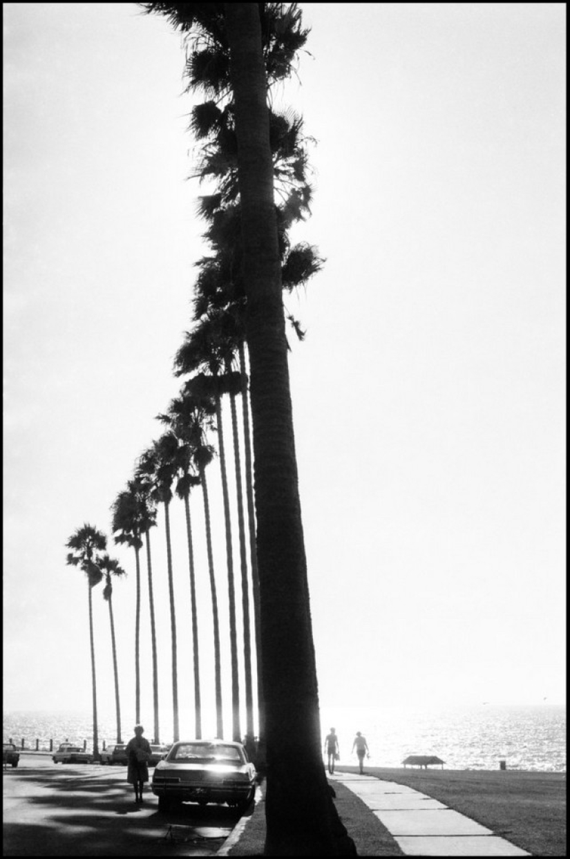 In the frame of the iconic photographer Dennis Stock