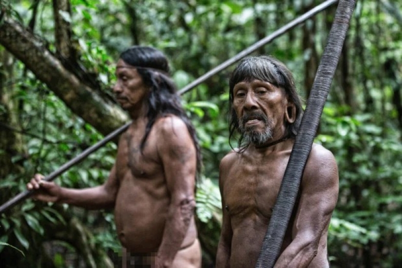 Incansables cazadores de la selva: la tribu Amazónica de los waorani