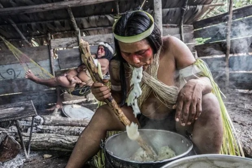 Incansables cazadores de la selva: la tribu Amazónica de los waorani