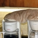 Incomprehensible cat logic: 30 photos that for sure you will laugh