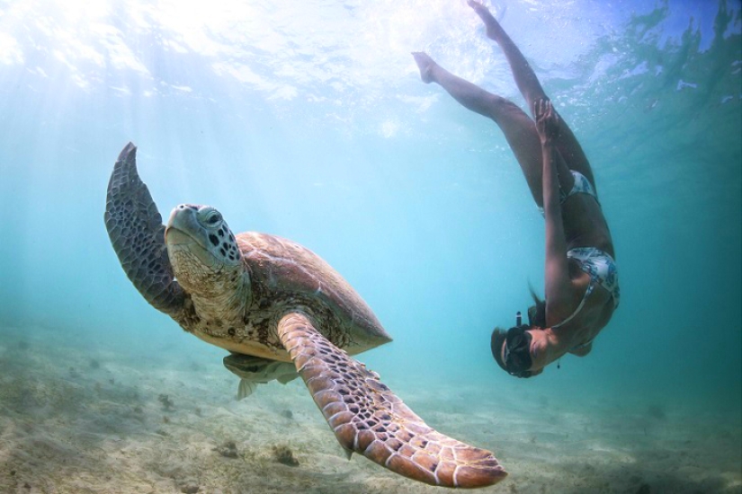 Increíble apnea en la naturaleza