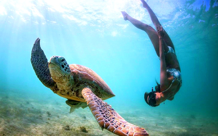 Increíble apnea en la naturaleza