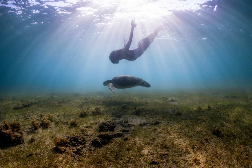 Increíble apnea en la naturaleza