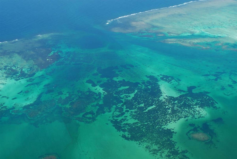 Increíbles criaturas de Madagascar