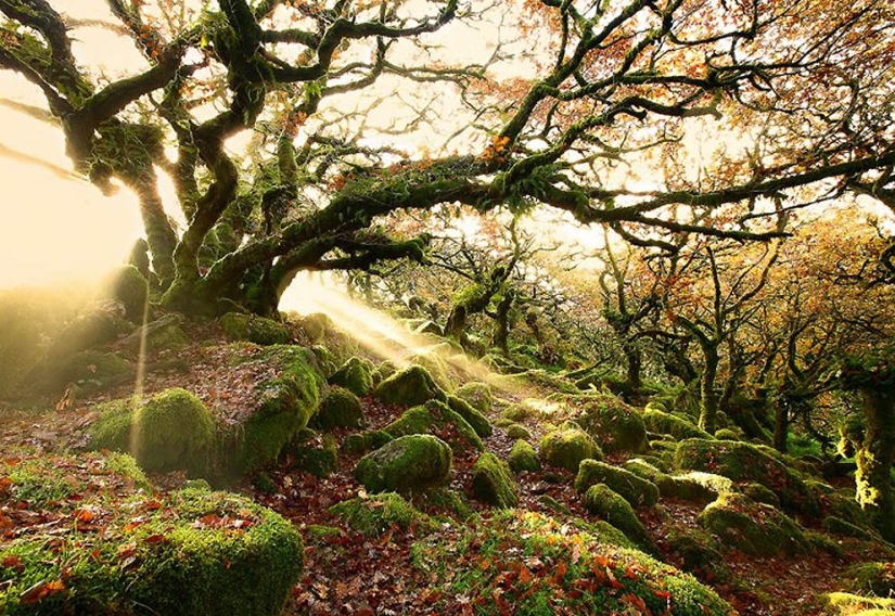 Increíbles fotografías de la naturaleza por el fotógrafo de paisajes James Appleton