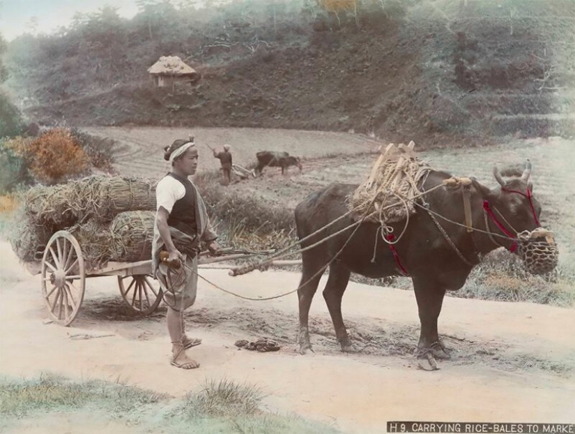 Increíbles fotos en color de Japón del siglo XIX