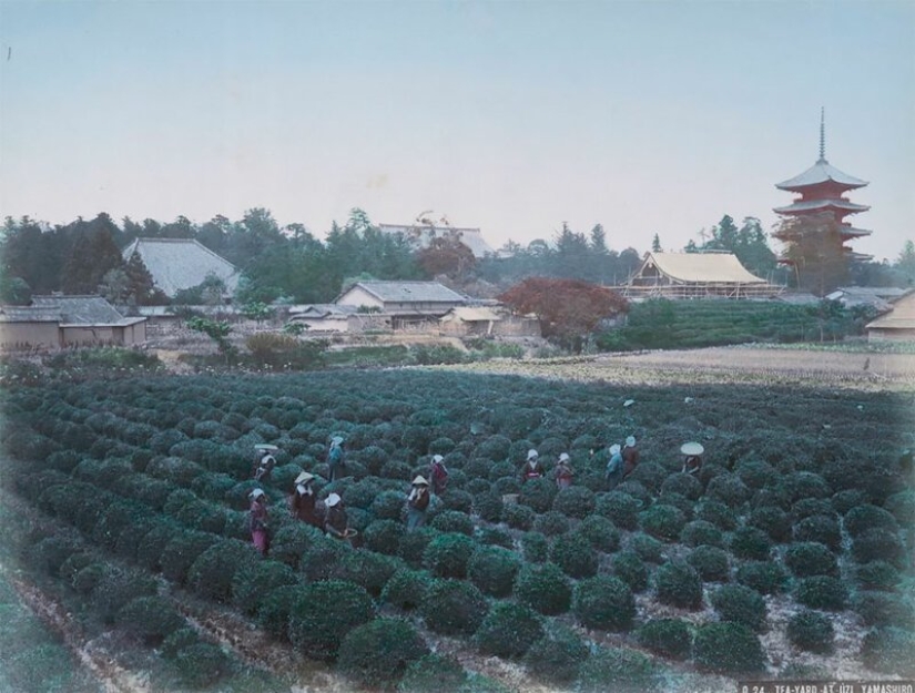 Incredible color photos of Japan of the XIX century