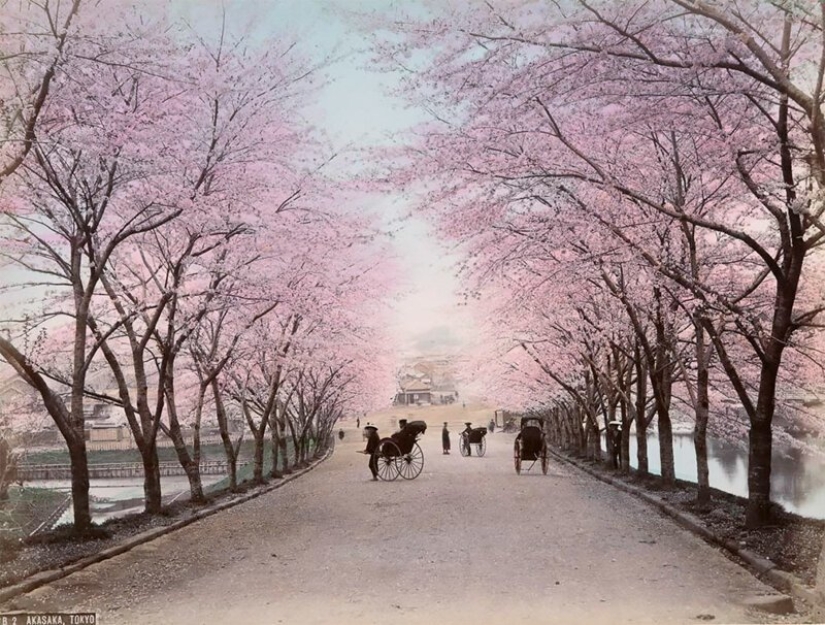 Incredible color photos of Japan of the XIX century