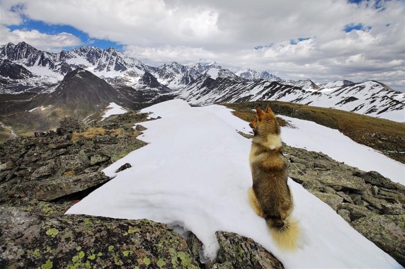 Incredibly beautiful pictures, after seeing that you will want to Altai