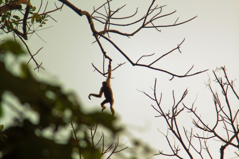 India desconocida: 15 fotos de lugares a los que llegan pocos turistas