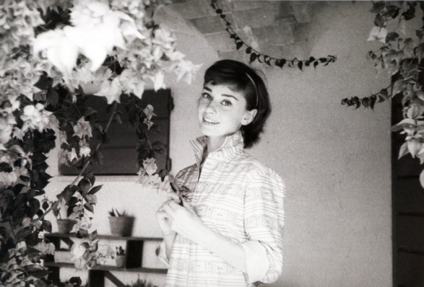 Inspiración: casero imágenes de Audrey Hepburn