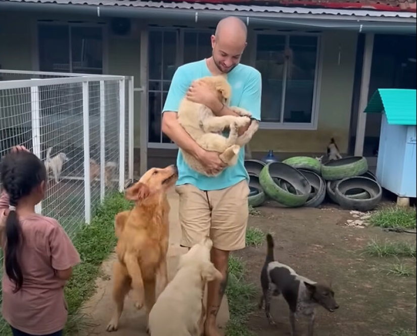 Inspiradora historia de rescate y transformación de un perro que pasó de ser calvo y temeroso a convertirse en un lindo osito de peluche