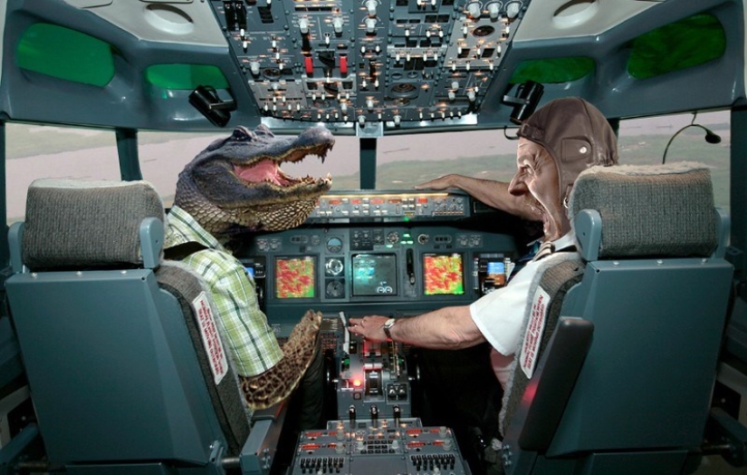 Involuntary terrorist: how a crocodile became the culprit of a passenger plane crash