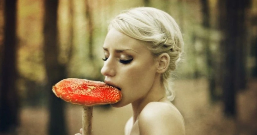 Is it possible to die if you eat fly agaric