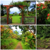 Jardines de Maui