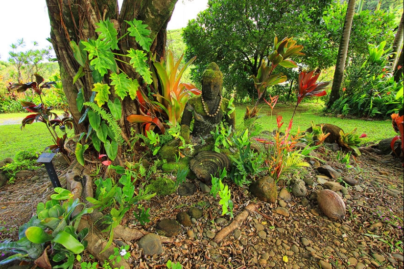 Jardines de Maui