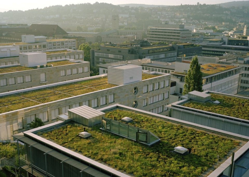 Jardines en la Azotea