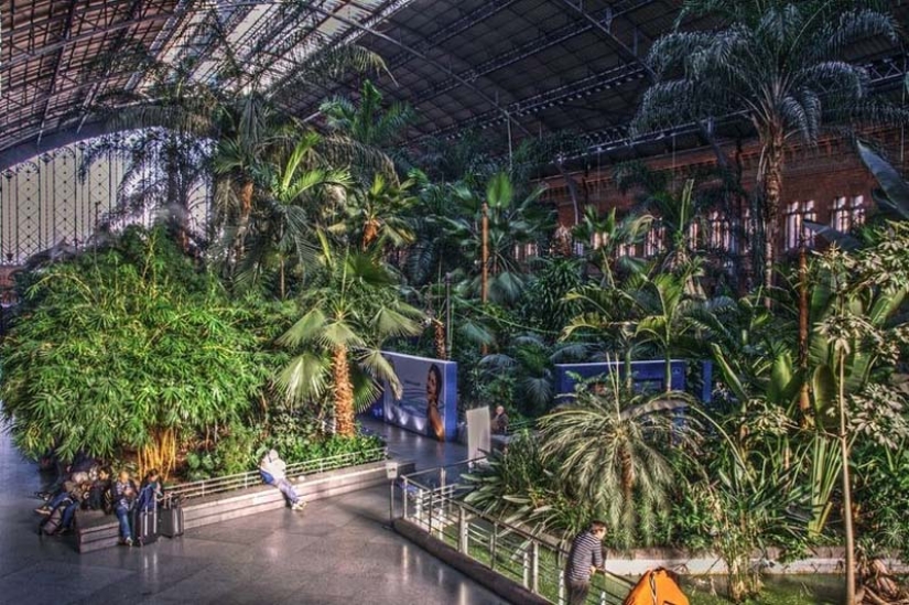 Jardín Botánico en la Estación de Tren de Atocha en Madrid