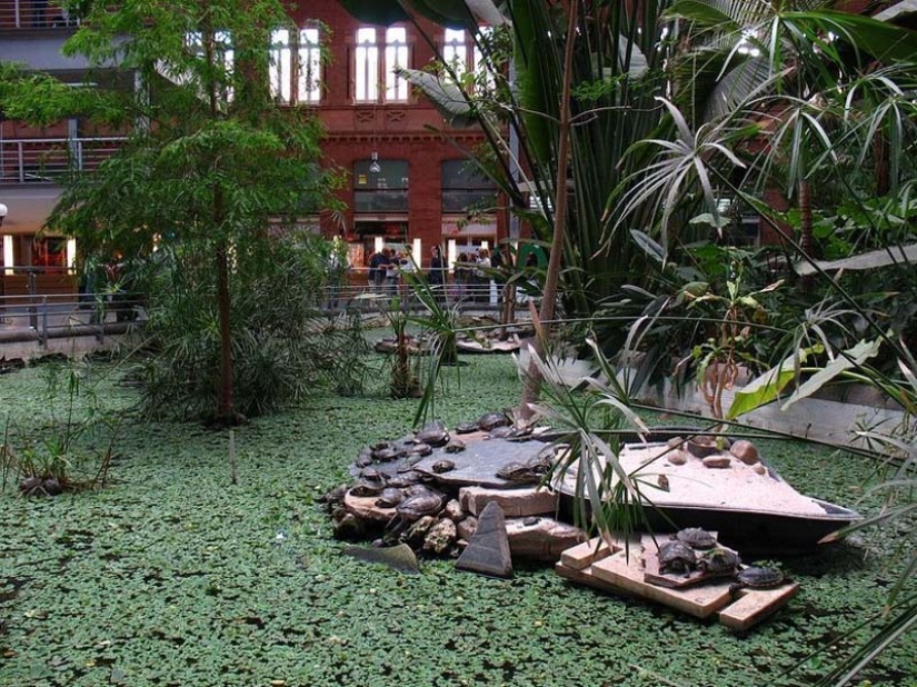 Jardín Botánico en la Estación de Tren de Atocha en Madrid