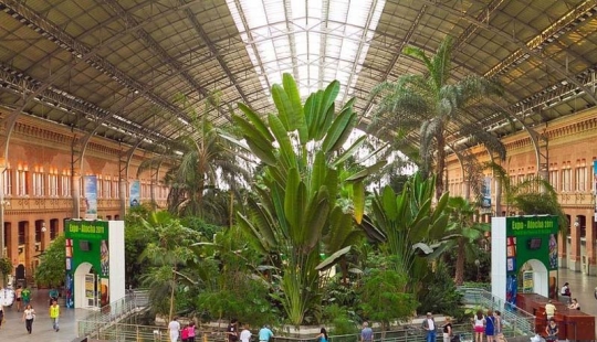 Jardín Botánico en la Estación de Tren de Atocha en Madrid