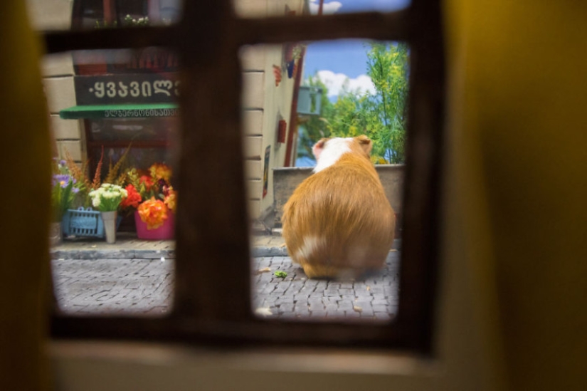 Khomyakopolis is a miniature hamster city that looks better than yours