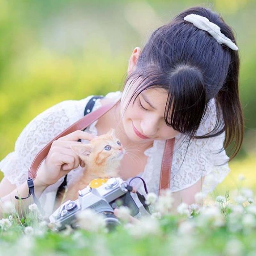 Kittens and cameras: a cute photo series of a photographer from Japan