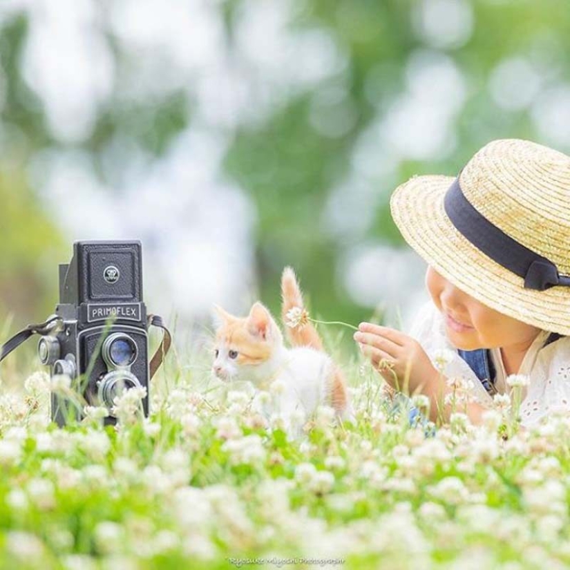 Kittens and cameras: a cute photo series of a photographer from Japan