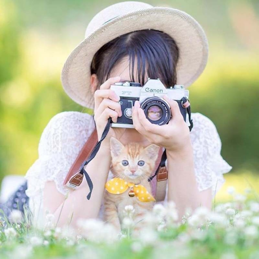 Kittens and cameras: a cute photo series of a photographer from Japan