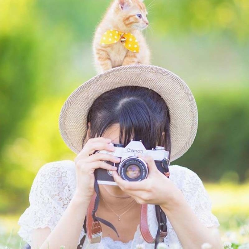 Kittens and cameras: a cute photo series of a photographer from Japan