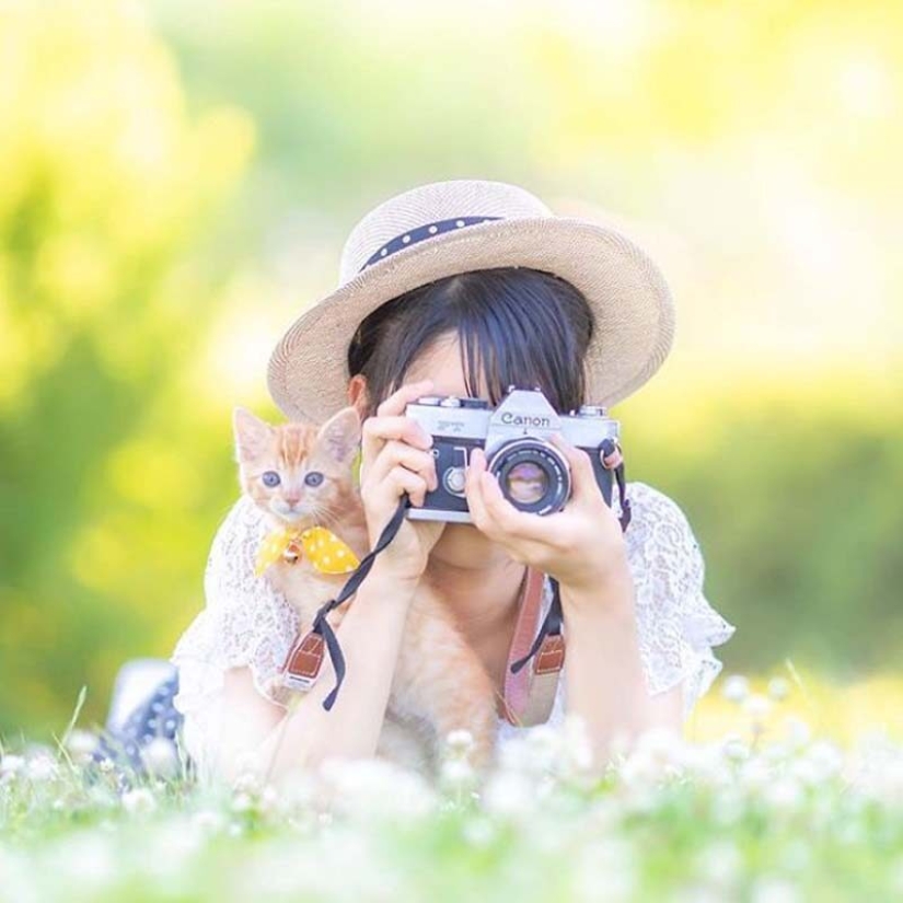 Kittens and cameras: a cute photo series of a photographer from Japan