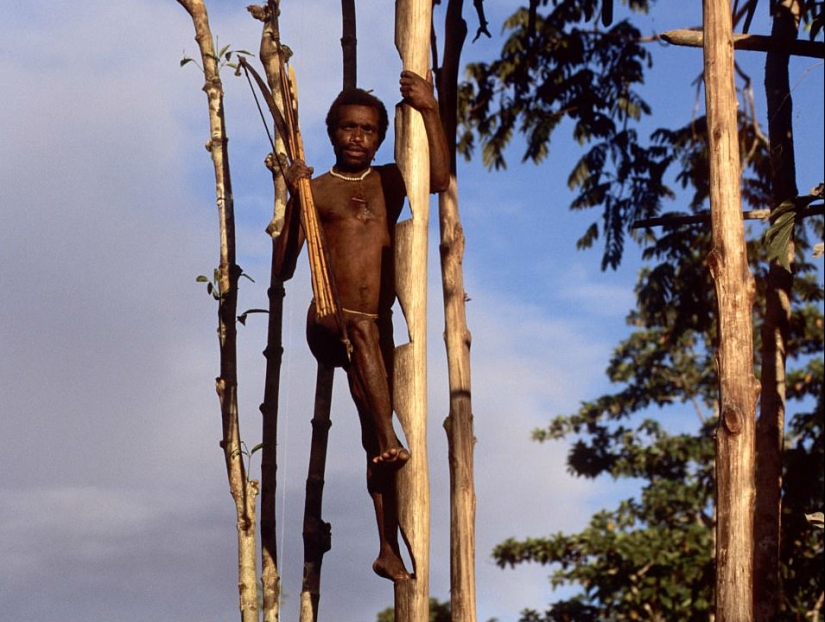 Korovai — a mysterious tribe of cannibals, who recently learned about civilization