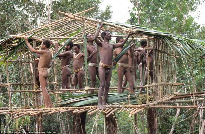 Korovai — a mysterious tribe of cannibals, who recently learned about civilization