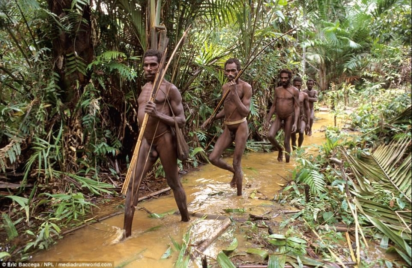 Korovai — a mysterious tribe of cannibals, who recently learned about civilization